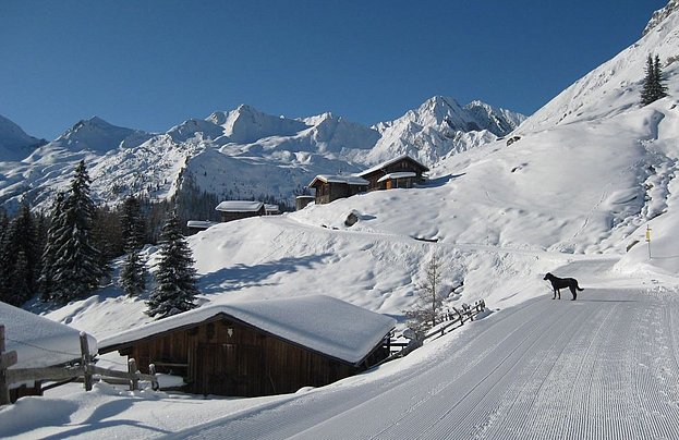 Winterspaziergang Kira