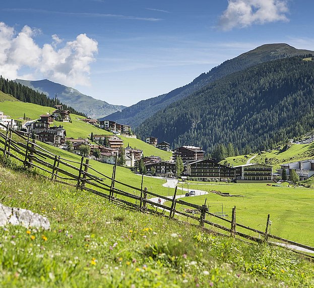 Almwiese in Hintertux