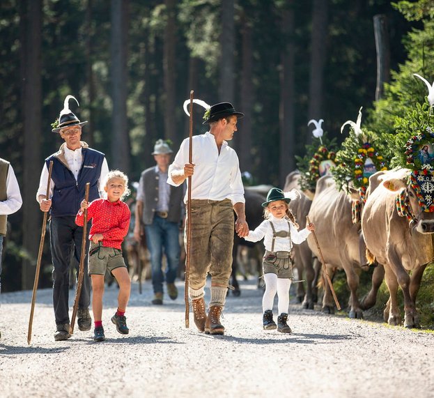 Almabtrieb im Zillertal