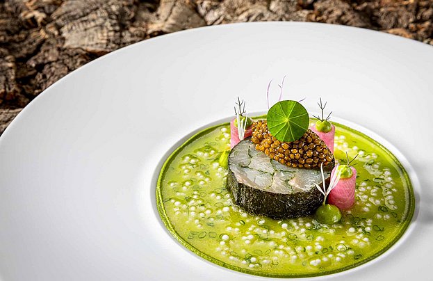 Kalte Fischvorspeise auf einem weißen Teller mit Dekoration